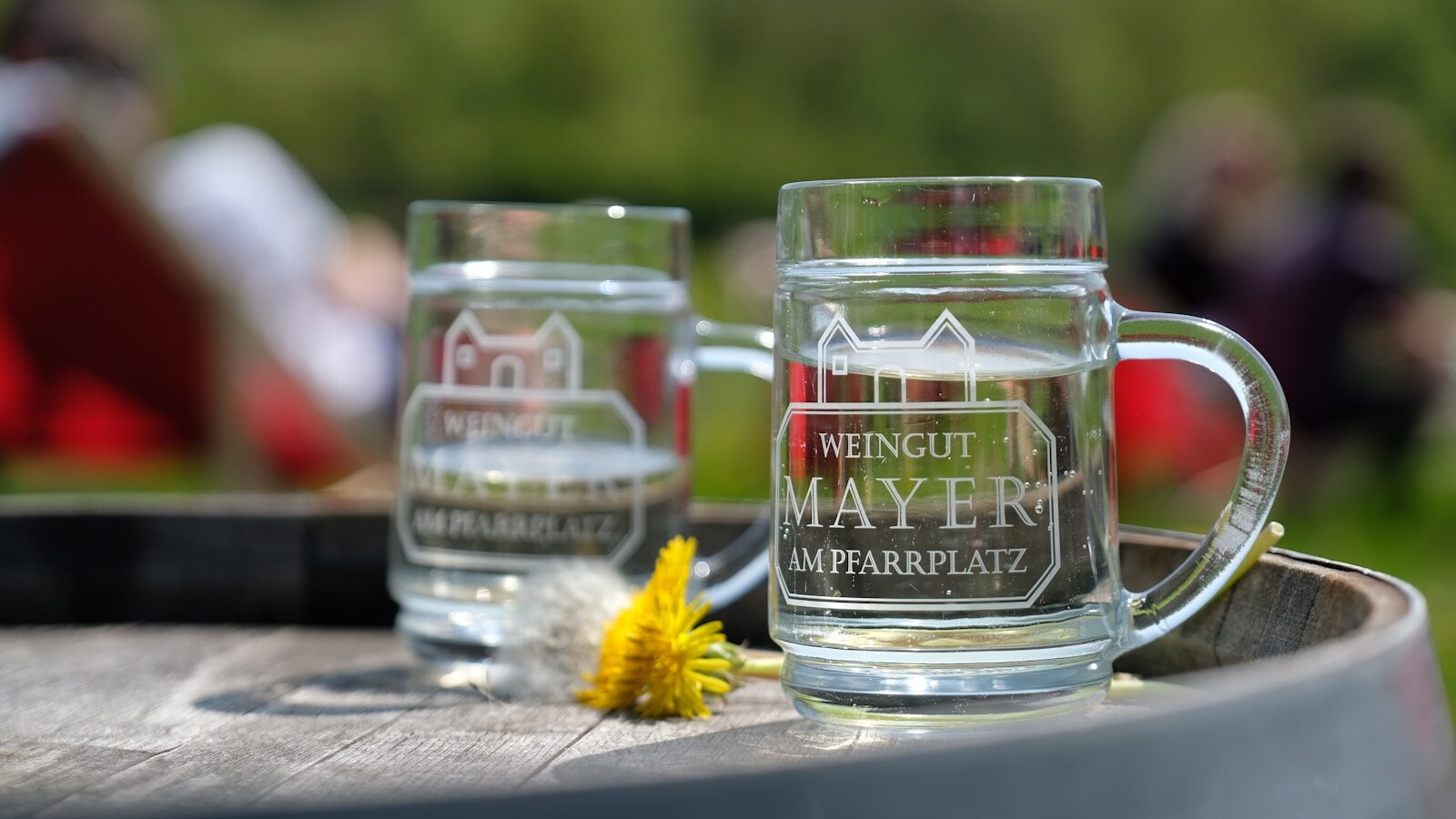 Two engraved glass mugs from Weingut Mayer sit on a wooden barrel, accompanied by a yellow dandelion, set against a blurred outdoor backdrop.